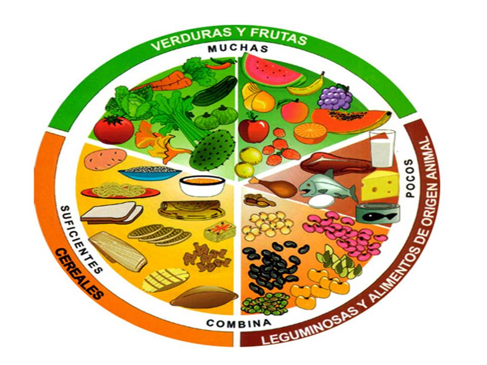 Alimentos para cetosis nutricional